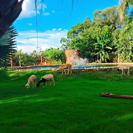 Pousada Cafe Da Roca Campos Gerais Екстериор снимка