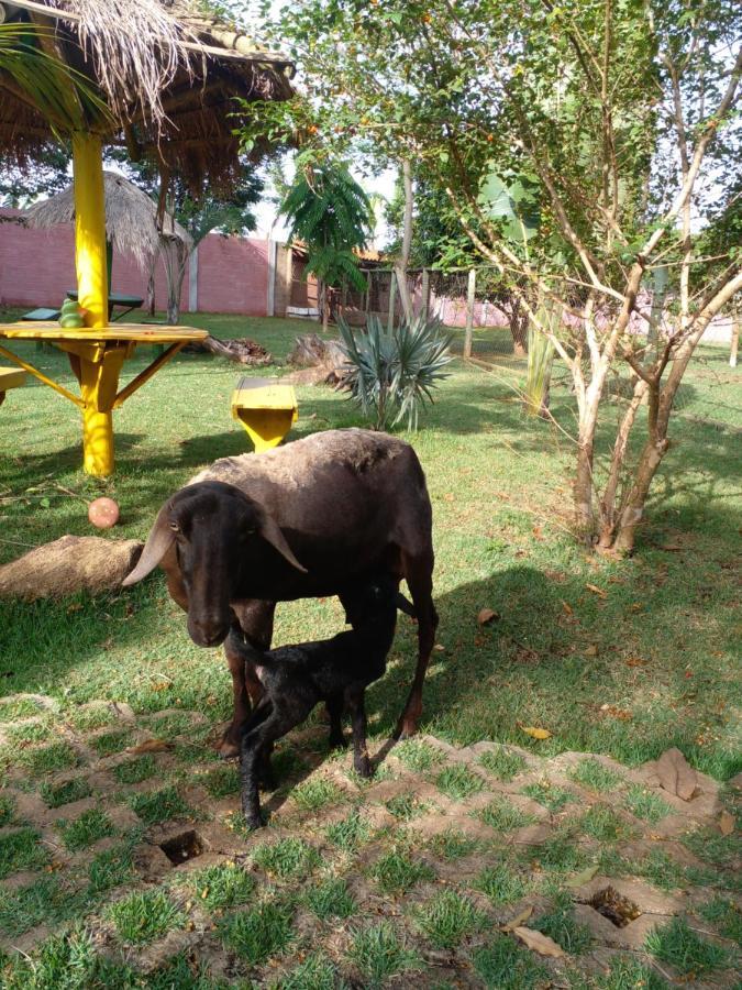 Pousada Cafe Da Roca Campos Gerais Екстериор снимка