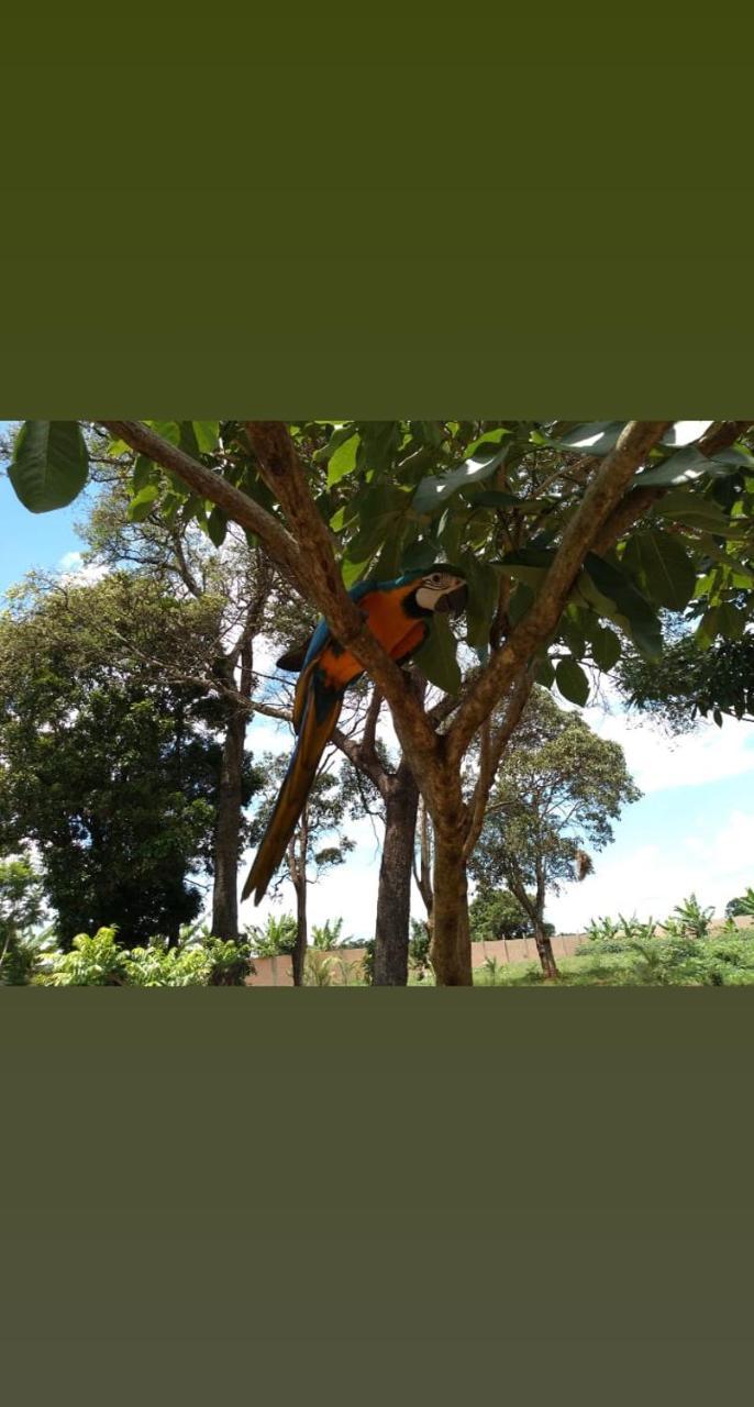 Pousada Cafe Da Roca Campos Gerais Екстериор снимка