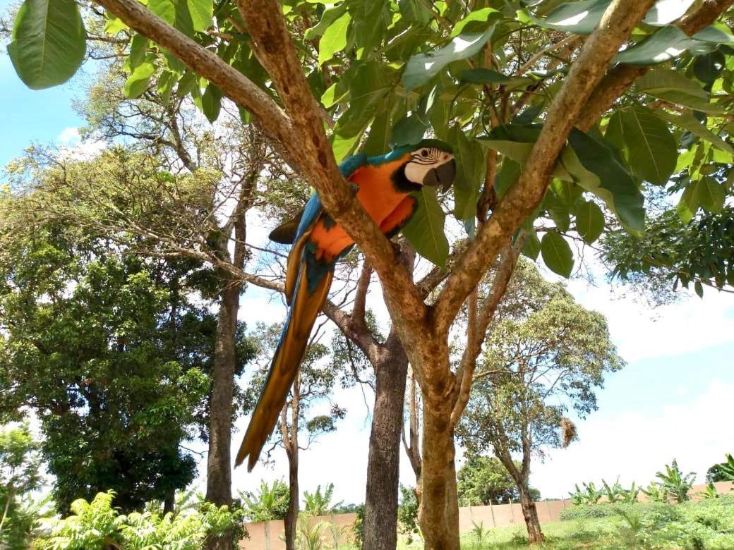 Pousada Cafe Da Roca Campos Gerais Екстериор снимка